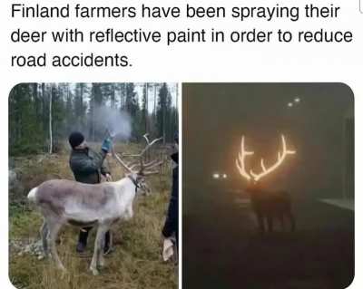 The Luminous Deer, Xerneas’ Child, Forest Spirit
