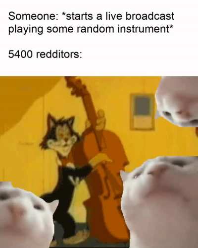 Some are really entertaining