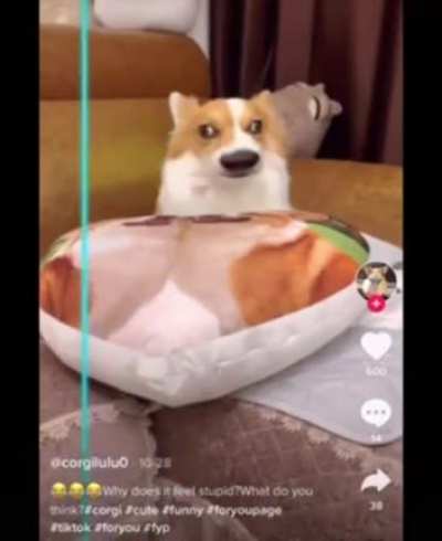 Distorted Floofers