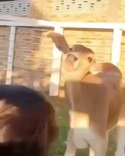 me irl