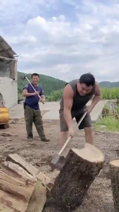 Splitting stumps .