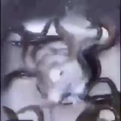 Salt