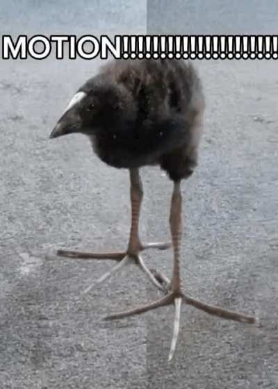 Ifttftoftoycnmmhhotion