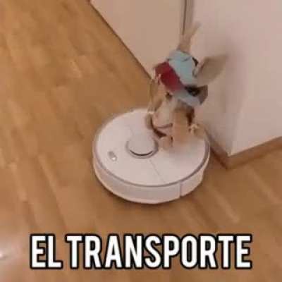 el transporte
