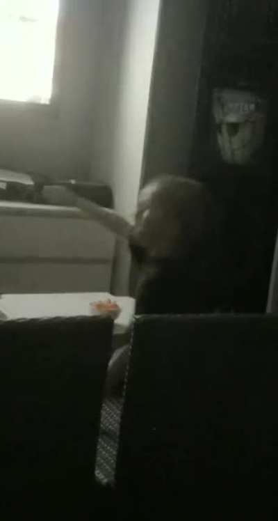 Dab on them haters
