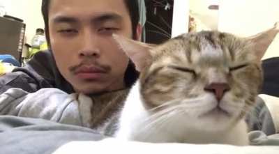 Dude and his cat vibe out to Hotline Bling 😂🐱🥰
