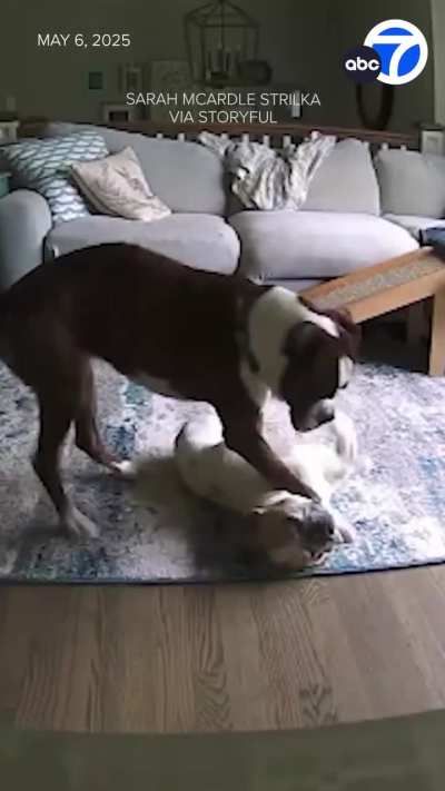 Now, this is a friend