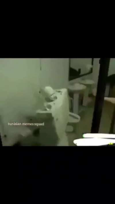 Oh shit or No shit what is it