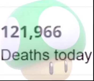 WAIT WHAT