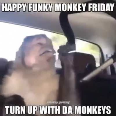Happy Friday bros