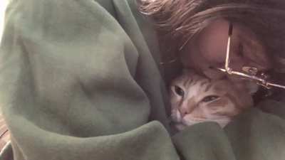 ntbdbiwdf my patient cat who doesn’t get annoyed when I kiss her for emotional support