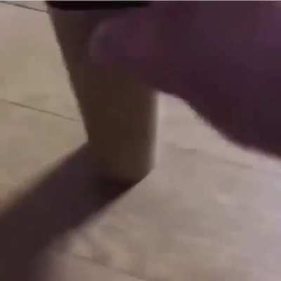 Bug