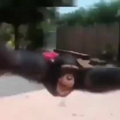 Maybe maybe maybe 
