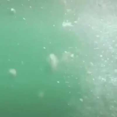 Diving into clear water
