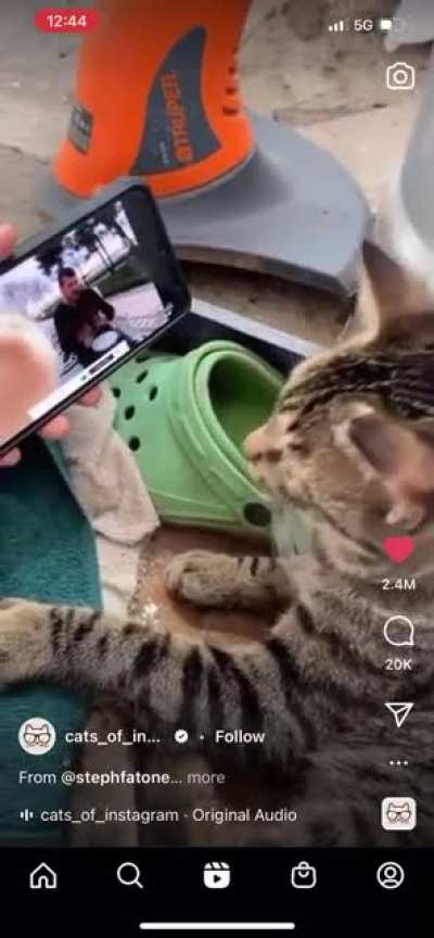 We vibing and watching each other vibing (non link version)