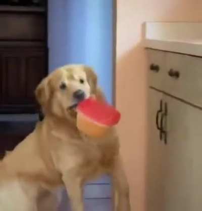 Sneaky boi