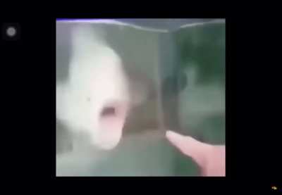 Omg!!!!!!!!!
