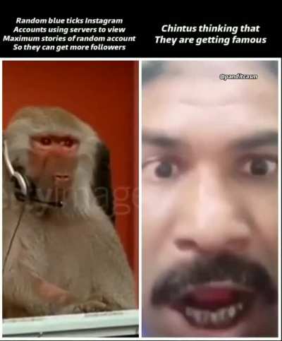 TITLE
