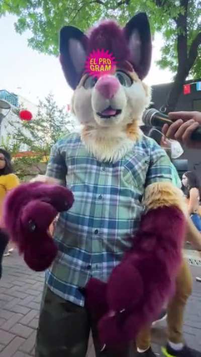 Necesitamos un Ministerio de Furros