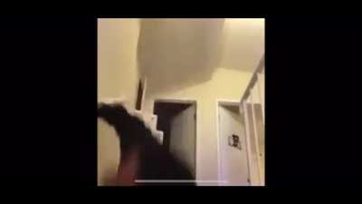Hoh
