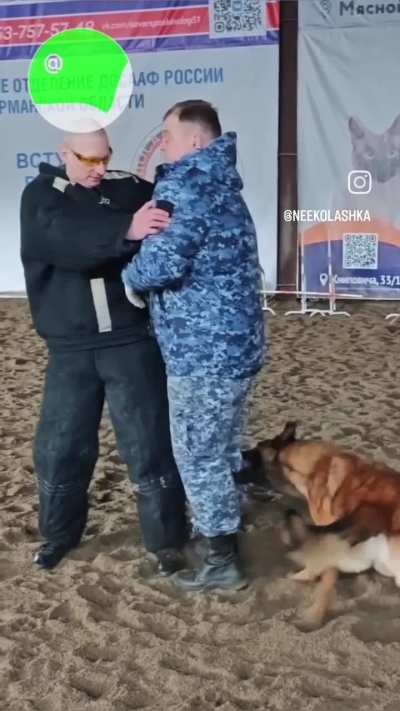 Beware of dogs