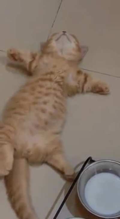 Eat, drink, sleep, repeat