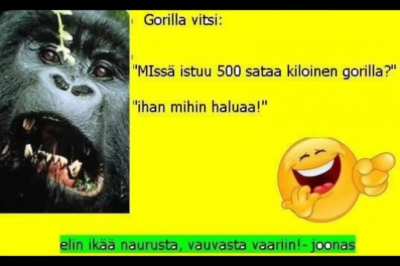 Mina_irl