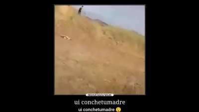 Oe aweonao...