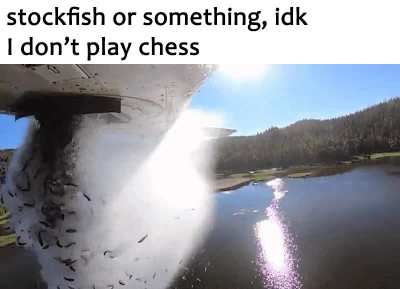 stockfish go burrr