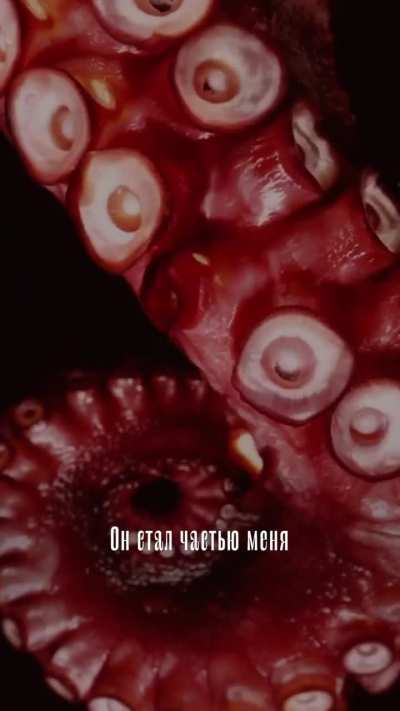 Осьминог