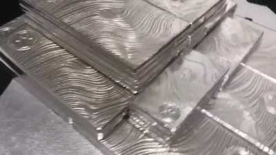 Silverbugs