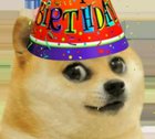 Happy b-day doge! ❤️
