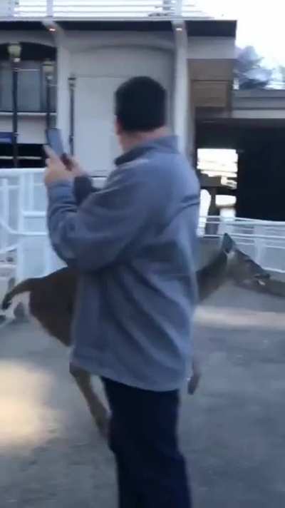 Boing