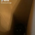 The new timeout box did not work out