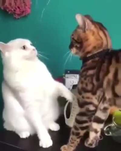 instant regret