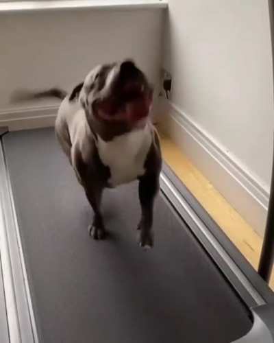 Working on his beach body