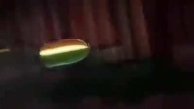 Sono chi no sadame but with kazoo and vocals