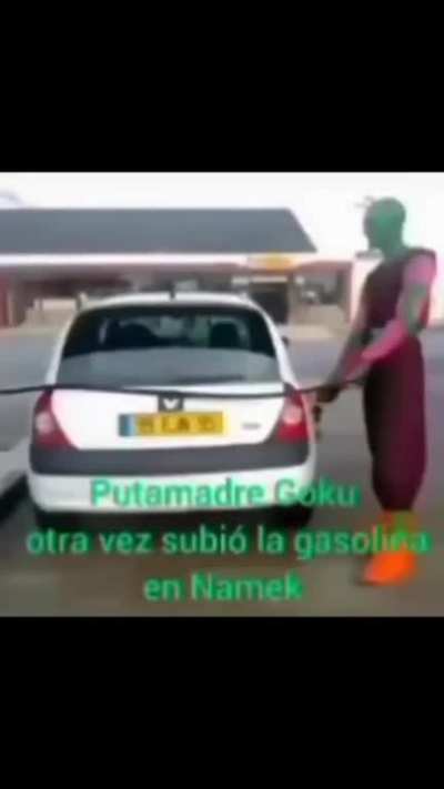 Puta madre Goku 