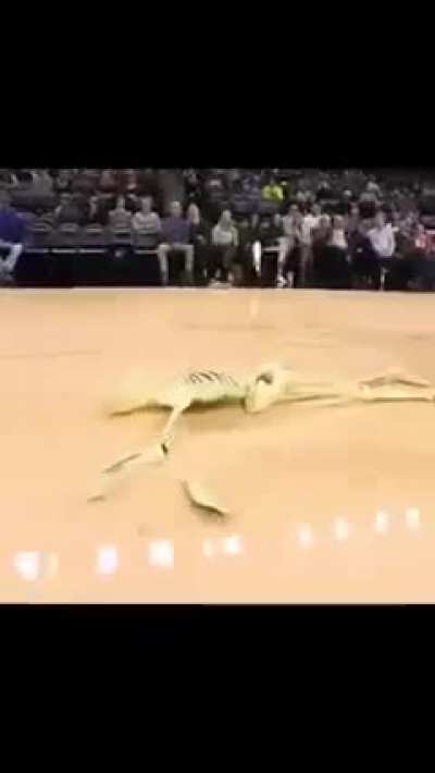 B