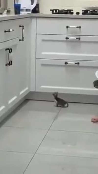Maybe Maybe Maybe