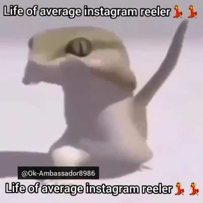 Truth and dare ft. Instagram reelers