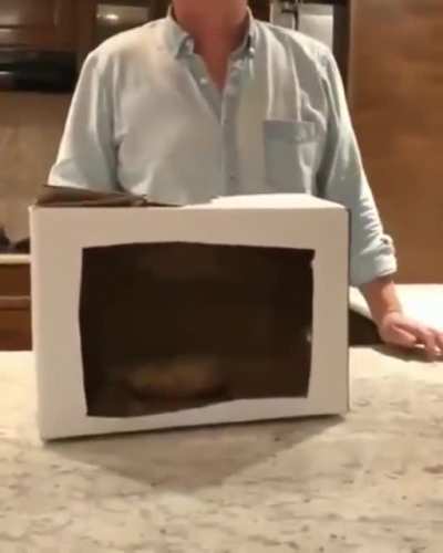 It moved
