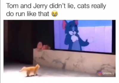 Tom and Jerry was spot on