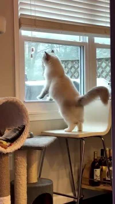 Very vocal about his first snow experience…