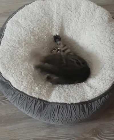 Attack tail