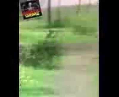 shitposting - Video #1300
