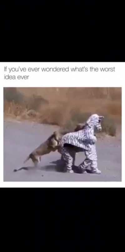 UnitedSlothSaves