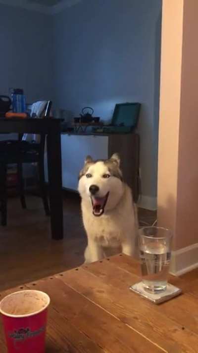 No you lay down!!