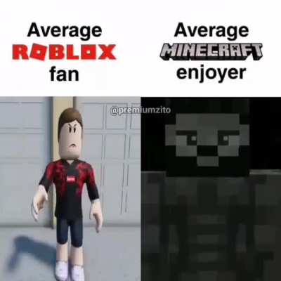 Minecraft Enjoyer