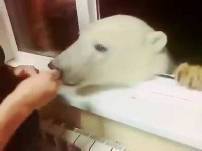 Rusya'da sıradan bir gün
